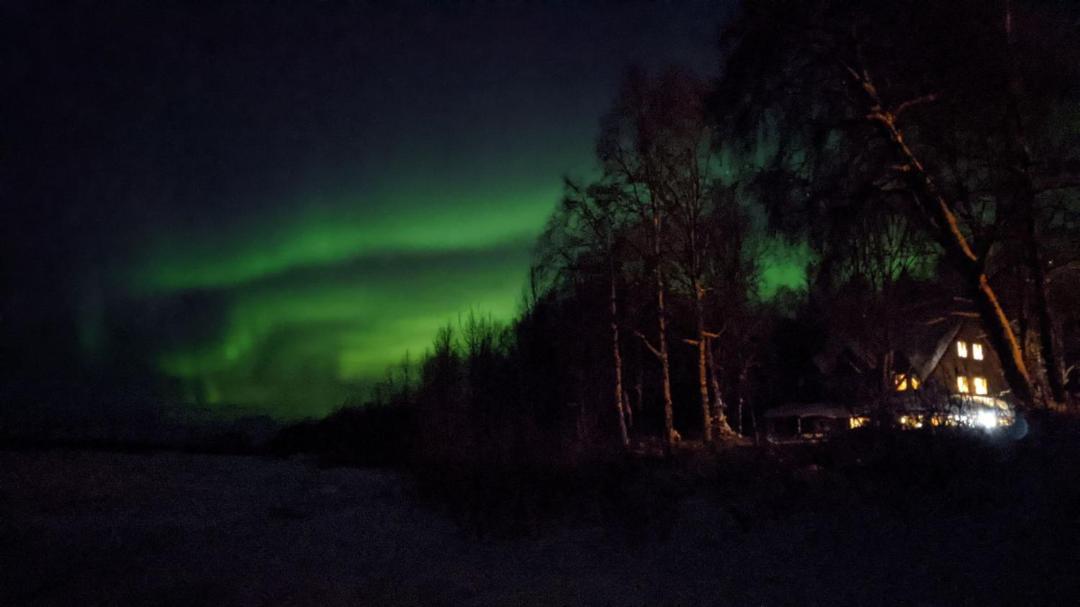Susitna River Lodging, Backwoods Cabins Talkeetna Dış mekan fotoğraf